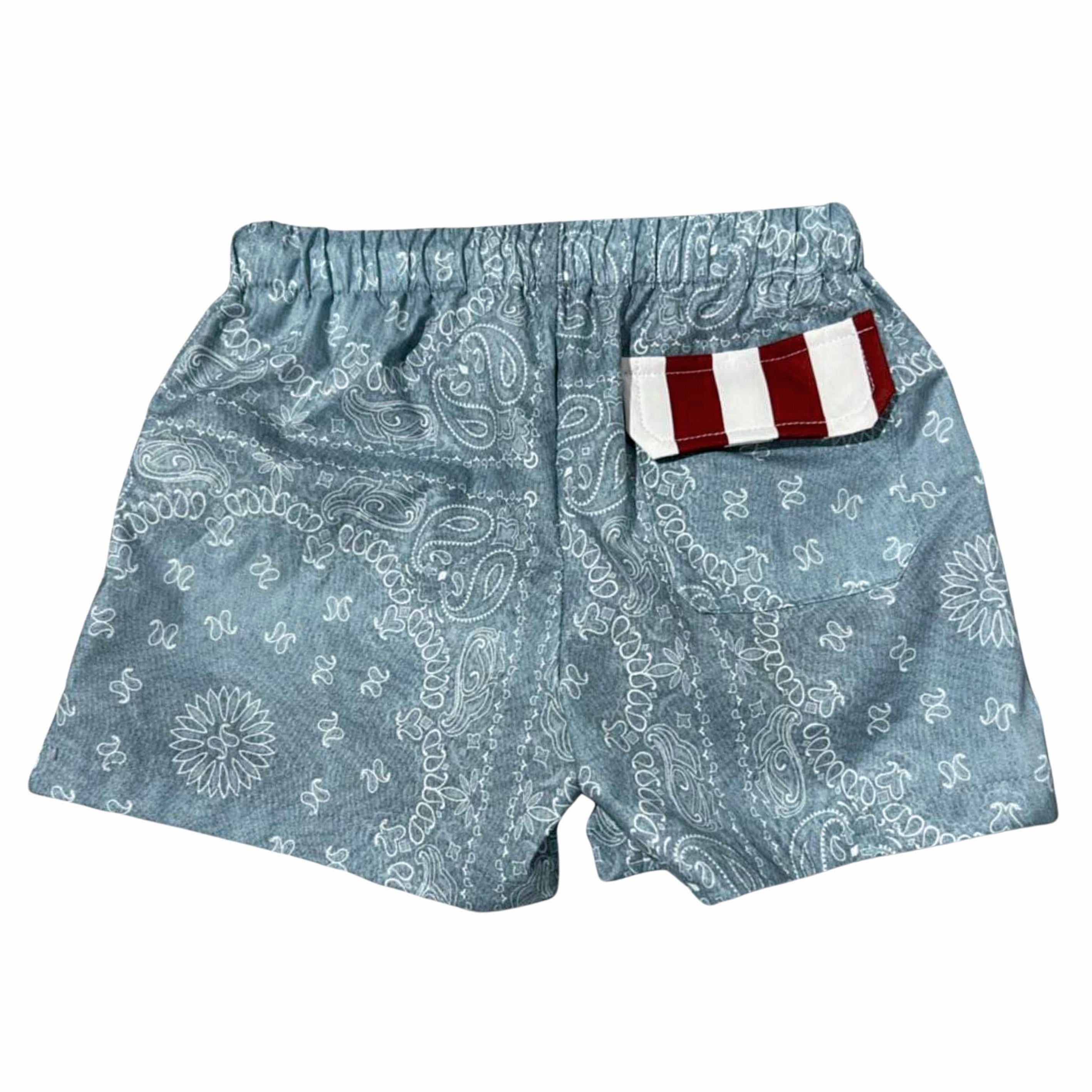 All American Boy Swim Shorts